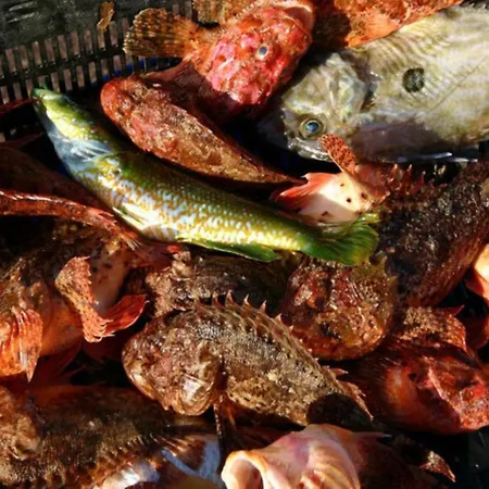 D'hotes Le Secadou Panzió 3*