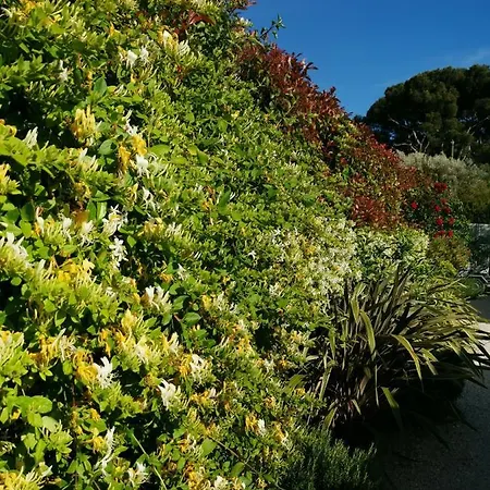 Panzió D'hotes Le Secadou 3*