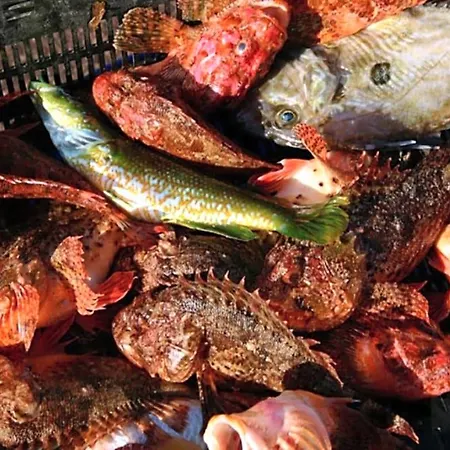 Oda ve Kahvaltı D'hotes Le Secadou