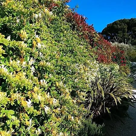 D'hotes Le Secadou Bed & Breakfast La Ciotat